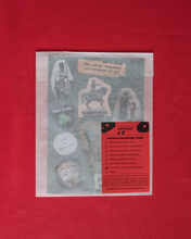 Load image into Gallery viewer, Trans Masc Studies History is a Home Sticker Sheet