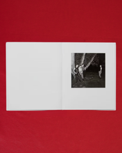 Load image into Gallery viewer, Del LaGrace Volcano Queer Dyke Cruising Book
