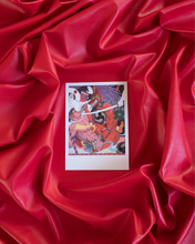 Load image into Gallery viewer, Sadao Hasegawa Carnal Desires Postcard Set
