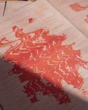 Load image into Gallery viewer, Remnants: How you re-assemble a city Newspaper