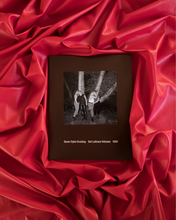 Load image into Gallery viewer, Del LaGrace Volcano Queer Dyke Cruising Book

